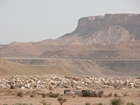 Panorama of the Dhruma members and Tuwaiq Mountain Formation in the distance. The Dhibi Member (D2) of the Dhruma forms the white limetone blocks in the lowermost part. Successive escarpments represent the D3 - D7 members.